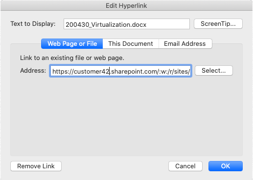 Displayed text contains only the file name in the Microsoft Outlook dialog for edit link
